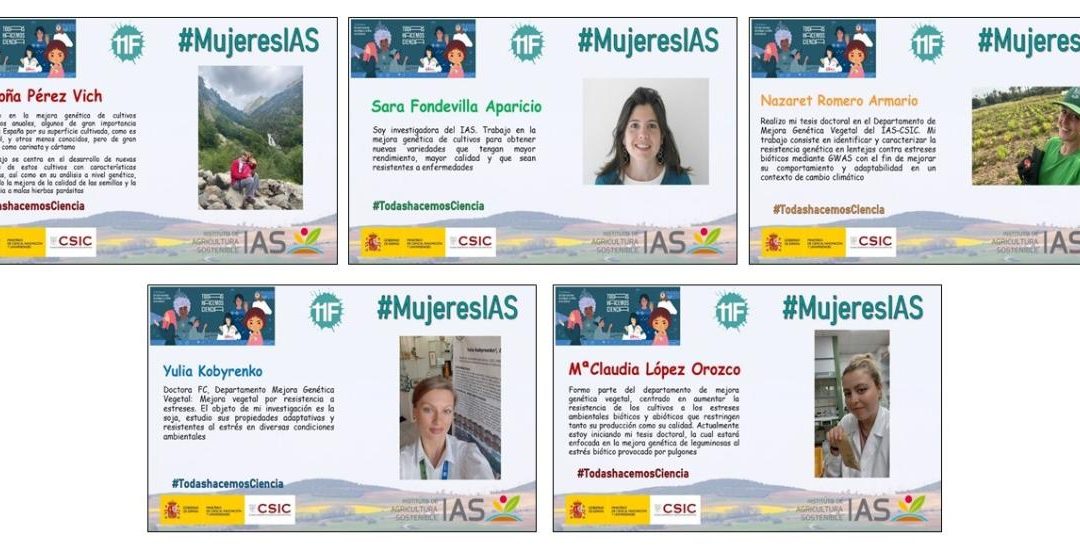 Mujeres IAS (II) – Día Internacional de la Mujer y la Niña en la Ciencia 2026