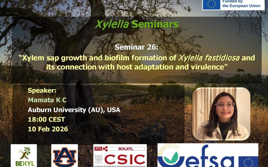 26th Xylella Seminar – Xylem sap growth and biofilm formation of Xylella fastidiosa and its connection with host adaptation and virulence