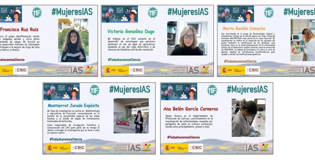 Mujeres IAS (IV) – Día Internacional de la Mujer y la Niña en la Ciencia 2026