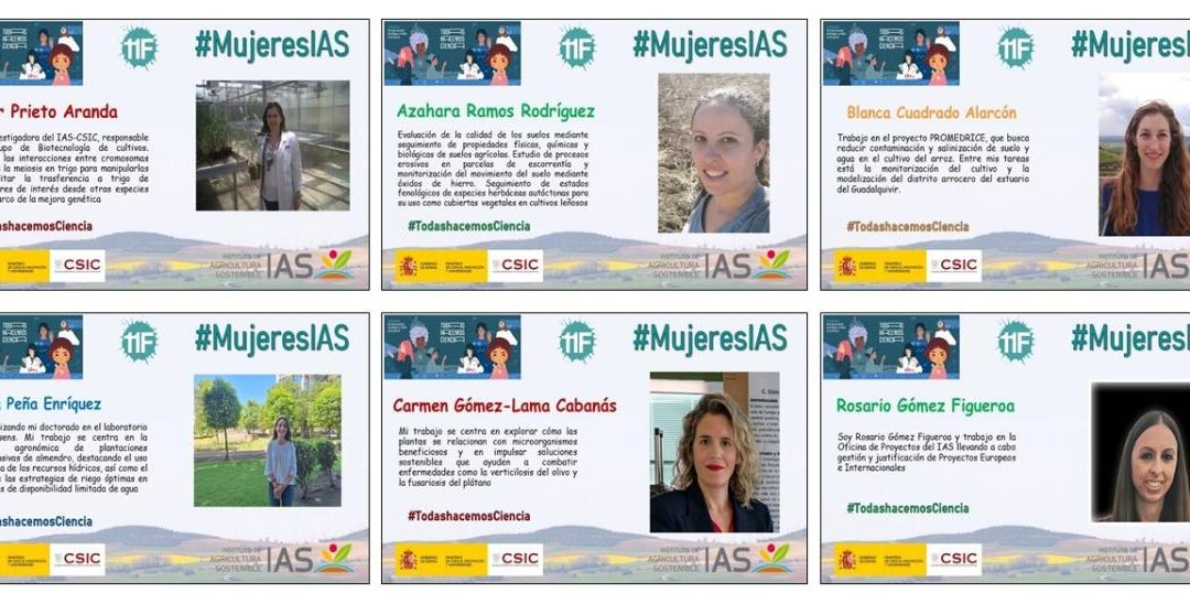 Mujeres IAS (V) – Día Internacional de la Mujer y la Niña en la Ciencia 2026