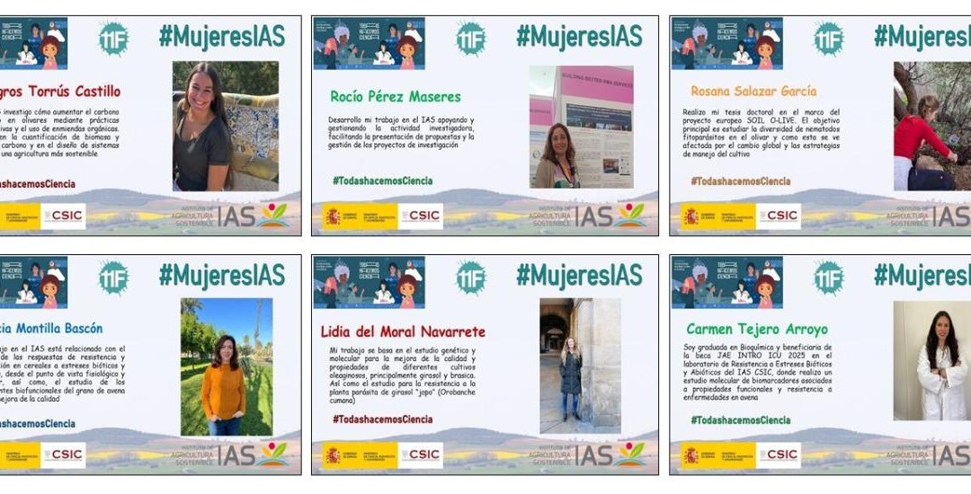 Mujeres IAS (VI) – Día Internacional de la Mujer y la Niña en la Ciencia 2026