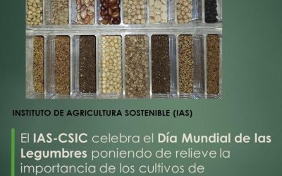 El IAS-CSIC celebra el Día Mundial de las Legumbres poniendo de relieve la importancia de los cultivos de leguminosas