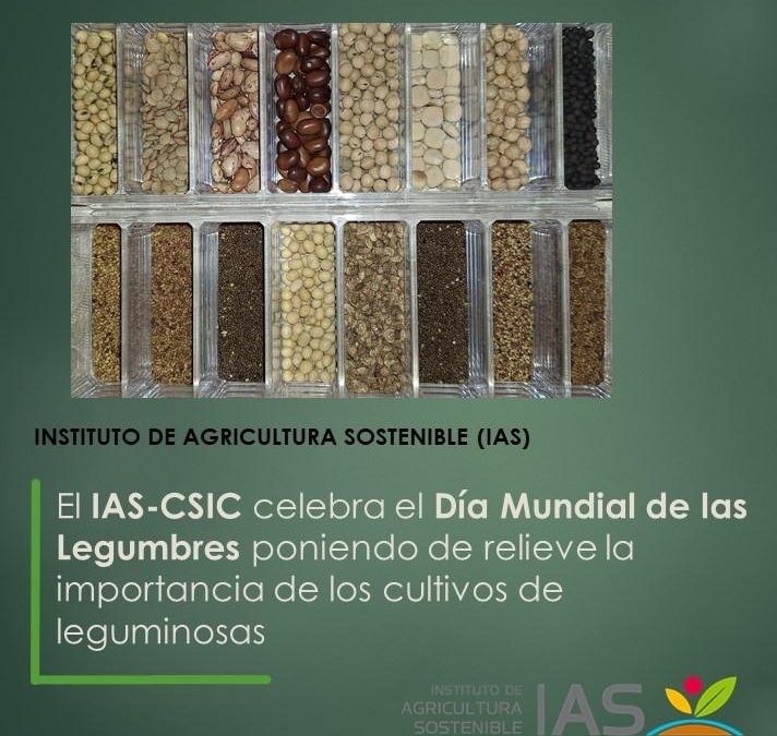 El IAS-CSIC celebra el Día Mundial de las Legumbres poniendo de relieve la importancia de los cultivos de leguminosas