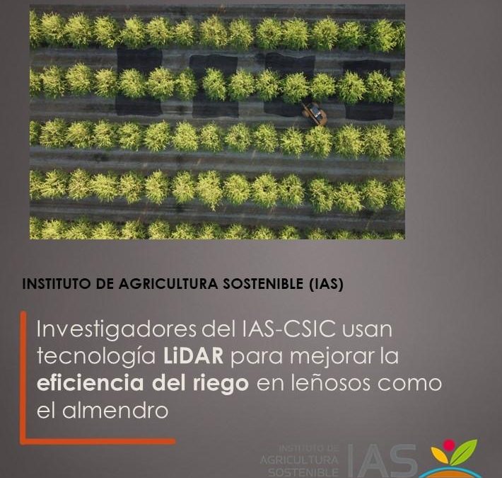 Investigadores del IAS-CSIC usan tecnología LiDAR para mejorar la eficiencia del riego en leñosos como el almendro