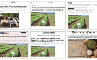 Seguimiento Noticia: El IAS-CSIC celebra el Día Mundial de las Legumbres poniendo de relieve la importancia de los cultivos de leguminosas