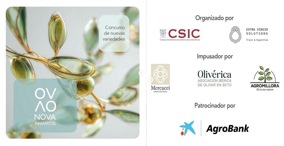 Nacen los NOVA Awards, el primer concurso internacional de aceites de oliva vírgenes extra elaborado solo con nuevas variedades