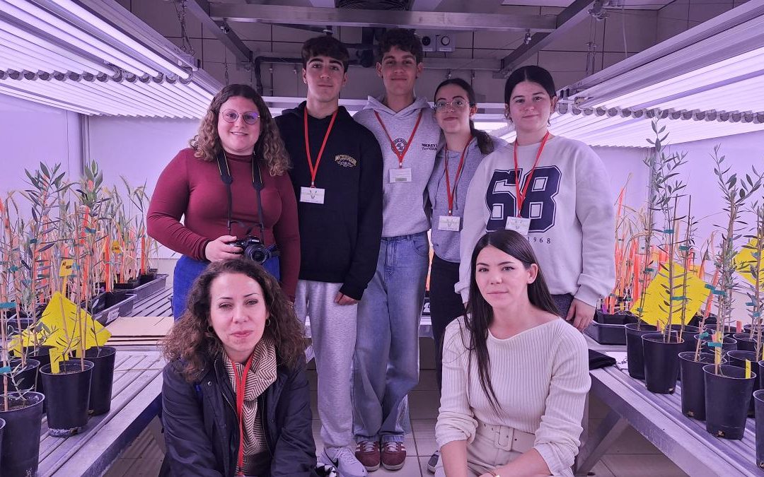4ª Sesión Estudiantes Proyectos Fidiciencia en el IAS Curso 2025-2026