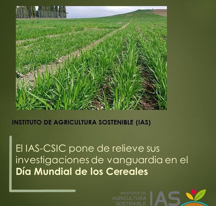 El IAS-CSIC pone de relieve sus investigaciones de vanguardia en el Día Mundial de los Cereales