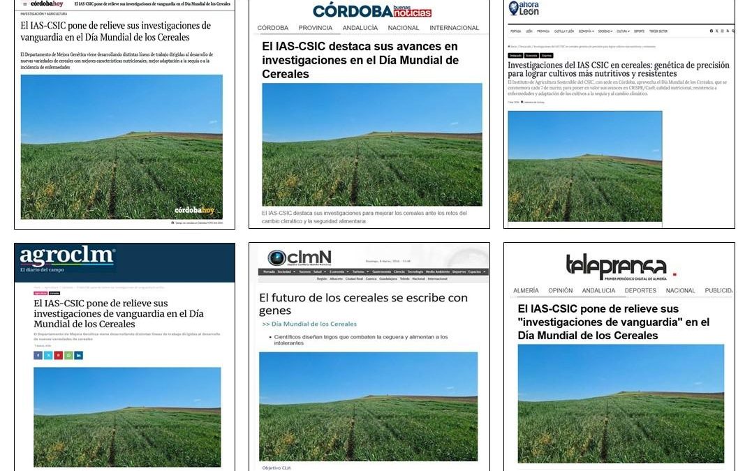 Seguimiento noticia: El IAS-CSIC pone de relieve sus investigaciones de vanguardia en el Día Mundial de los Cereales