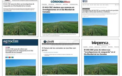 Seguimiento noticia: El IAS-CSIC pone de relieve sus investigaciones de vanguardia en el Día Mundial de los Cereales