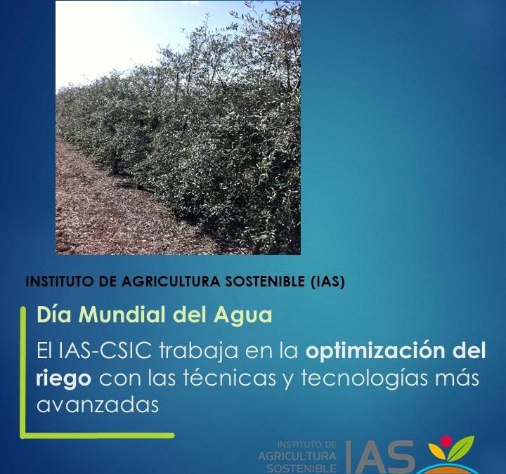 El IAS-CSIC trabaja en la optimización del riego con las técnicas y tecnologías más avanzadas