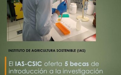 El IAS-CSIC oferta 5 becas de introducción a la investigación