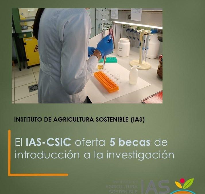 El IAS-CSIC oferta 5 becas de introducción a la investigación