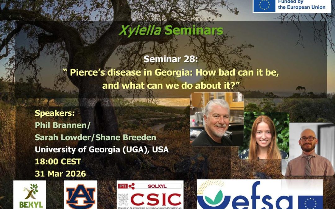 28th Xylella Seminar – Pierce’s disease in Georgia: How bad can it be, and what can we do about it?