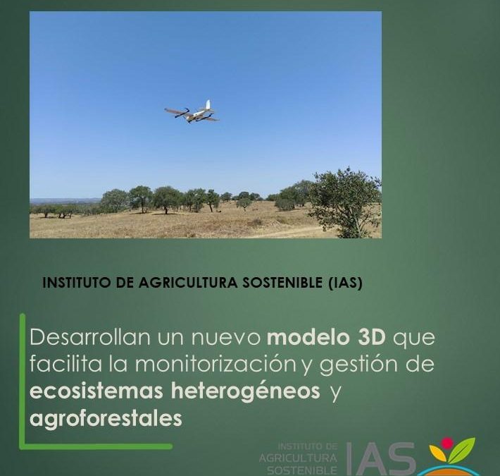 Desarrollan un nuevo modelo 3D que facilita la monitorización y gestión de ecosistemas heterogéneos y agroforestales