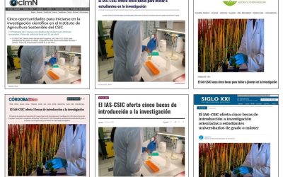 Seguimiento noticia: El IAS-CSIC oferta 5 becas de introducción a la investigación