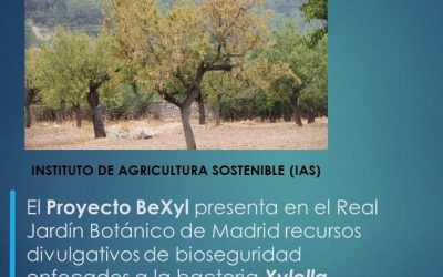 El Proyecto BeXyl presenta en el Real Jardín Botánico de Madrid recursos divulgativos de bioseguridad enfocados a la bacteria Xylella fastidiosa