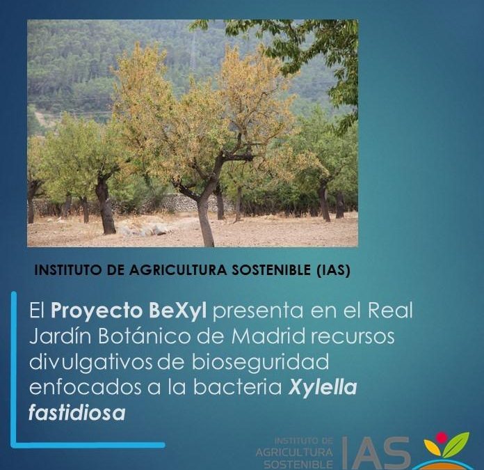 El Proyecto BeXyl presenta en el Real Jardín Botánico de Madrid recursos divulgativos de bioseguridad enfocados a la bacteria Xylella fastidiosa