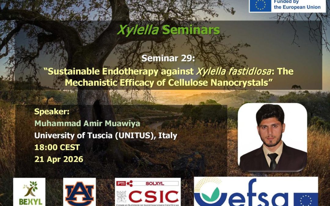 29th Xylella Seminar – Sustainable Endotherapy against Xylella fastidiosa: The Mechanistic Efficacy of Cellulose Nanocrystals