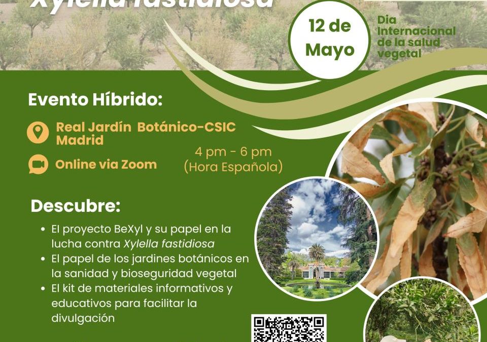 Lanzamiento de Recursos Divulgativos sobre Xylella fastidiosa