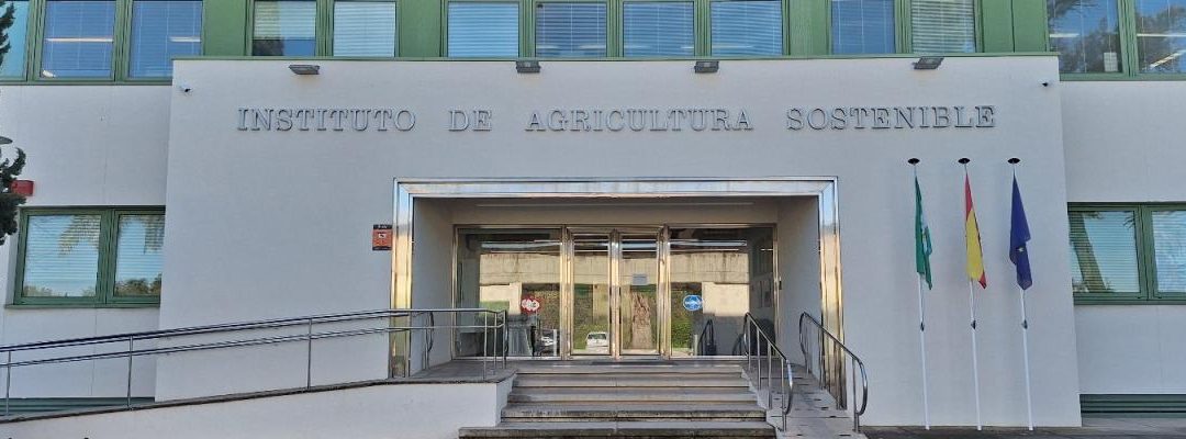 Contrato Menor 2026: Servicio Preparación Propuesta Proyecto