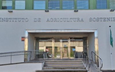 Contrato Menor 2026: Servicio Preparación Propuesta Proyecto