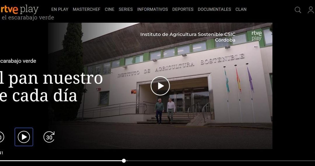 Reportaje «El pan nuestro de cada día» – El Escarabajo Verde, RTVE – Francisco Barro
