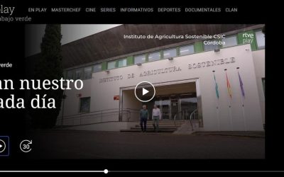 Reportaje «El pan nuestro de cada día» – El Escarabajo Verde, RTVE – Francisco Barro