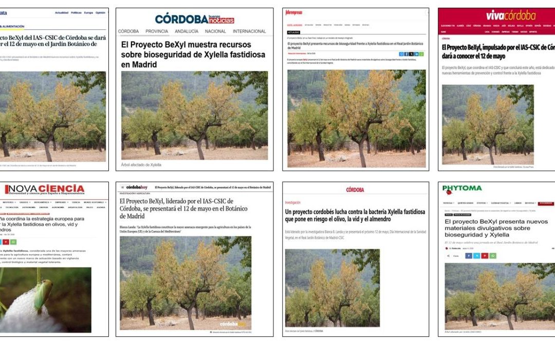 Seguimiento noticia: El Proyecto BeXyl presenta en el Real Jardín Botánico de Madrid recursos divulgativos de bioseguridad enfocados a la bacteria Xylella fastidiosa