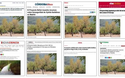 Seguimiento noticia: El Proyecto BeXyl presenta en el Real Jardín Botánico de Madrid recursos divulgativos de bioseguridad enfocados a la bacteria Xylella fastidiosa