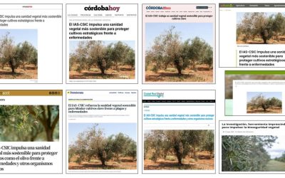 Seguimiento noticia: El IAS-CSIC impulsa una sanidad vegetal más sostenible para proteger cultivos estratégicos frente a enfermedades y otros organismos nocivos