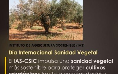 El IAS-CSIC impulsa una sanidad vegetal más sostenible para proteger cultivos estratégicos frente a enfermedades y otros organismos nocivos