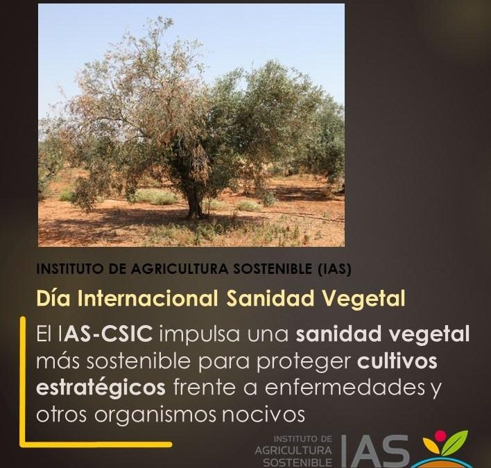 El IAS-CSIC impulsa una sanidad vegetal más sostenible para proteger cultivos estratégicos frente a enfermedades y otros organismos nocivos