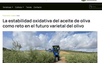 La estabilidad oxidativa del aceite de oliva como reto en el futuro varietal del olivo
