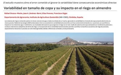 Variabilidad en tamaño de copa y su impacto en el riego en almendro