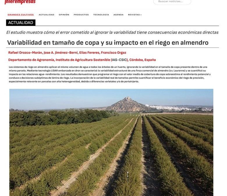 Variabilidad en tamaño de copa y su impacto en el riego en almendro