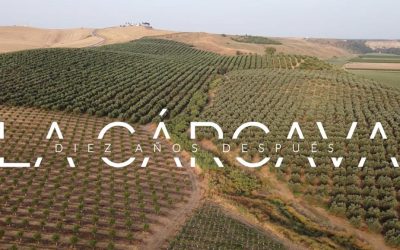 La cárcava 10 años después – Clemente Trujillo