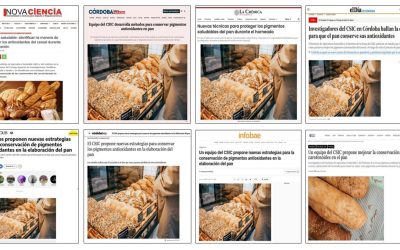 Seguimiento noticia: Proponen nuevas estrategias para preservar los pigmentos antioxidantes del grano durante la elaboración del pan