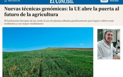 Nuevas técnicas genómicas: la UE abre la puerta al futuro de la agricultura – Entrevista a Francisco Barro