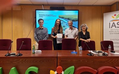 Tesis Doctoral – Blanca Cuadrado Alarcón