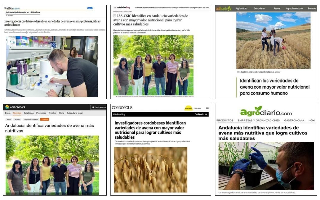 Seguimiento Noticia: Identifican las variedades de avena con mayor valor nutricional para consumo humano