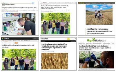 Seguimiento Noticia: Identifican las variedades de avena con mayor valor nutricional para consumo humano