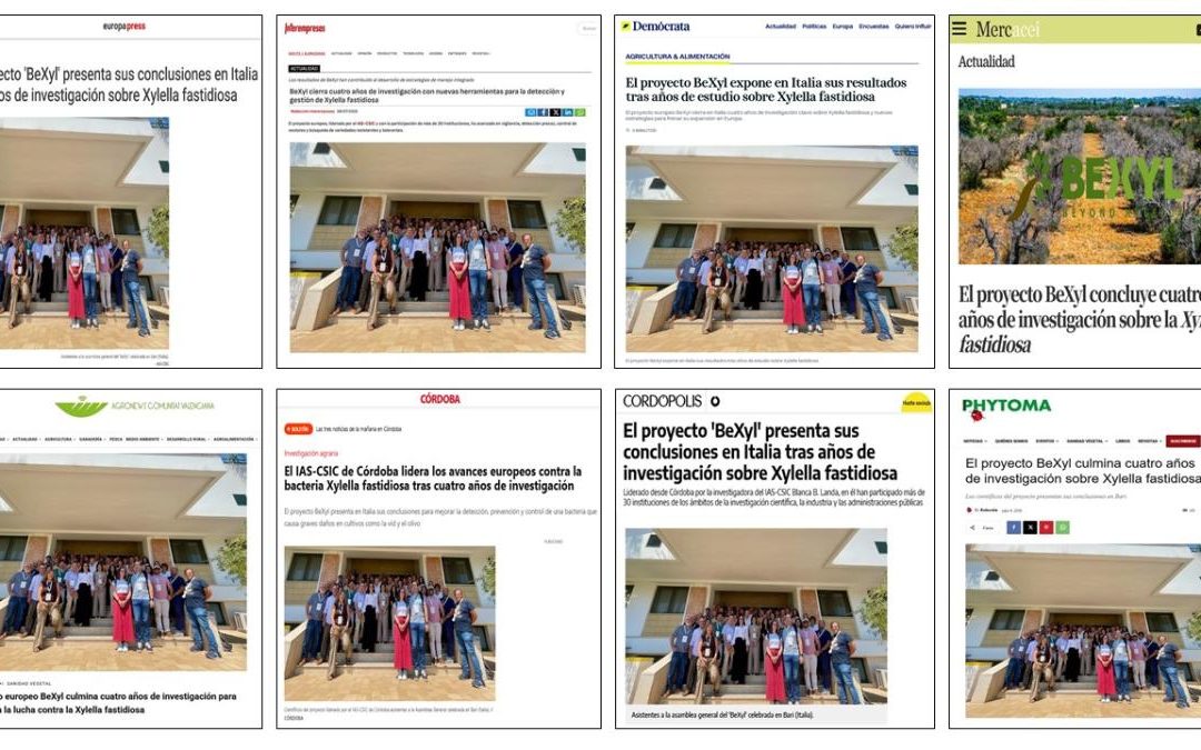 Seguimiento noticia: El proyecto BeXyl presenta sus conclusiones en Bari (Italia) tras cuatro años de investigación sobre Xylella fastidiosa