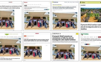 Seguimiento noticia: El proyecto BeXyl presenta sus conclusiones en Bari (Italia) tras cuatro años de investigación sobre Xylella fastidiosa