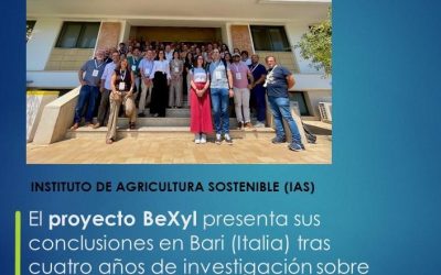 El proyecto BeXyl presenta sus conclusiones en Bari (Italia) tras cuatro años de investigación sobre Xylella fastidiosa