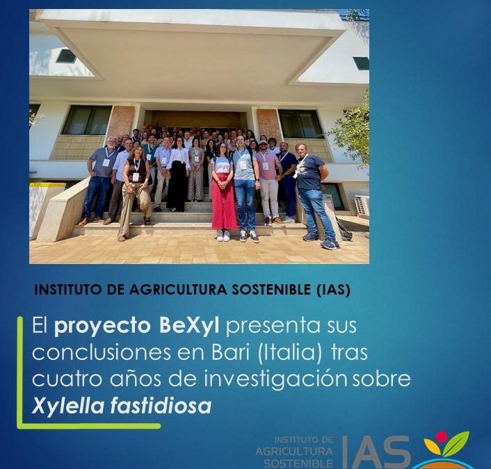 El proyecto BeXyl presenta sus conclusiones en Bari (Italia) tras cuatro años de investigación sobre Xylella fastidiosa