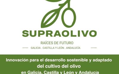 Grupo Operativo SUPRAOLIVO: Innovación para el desarrollos sostenible y adaptado del cultivo del olivo en Galicia, Castilla y León y Andalucía