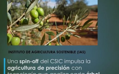 Una spin-off del CSIC impulsa la agricultura de precisión con tecnología que analiza cada árbol de forma individual