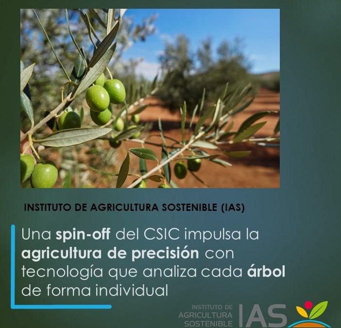 Una spin-off del CSIC impulsa la agricultura de precisión con tecnología que analiza cada árbol de forma individual