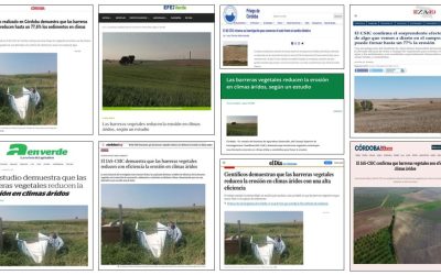 Seguimiento noticia: Un estudio del IAS-CSIC demuestra que las barreras vegetales reducen la erosión en climas áridos con una alta eficiencia